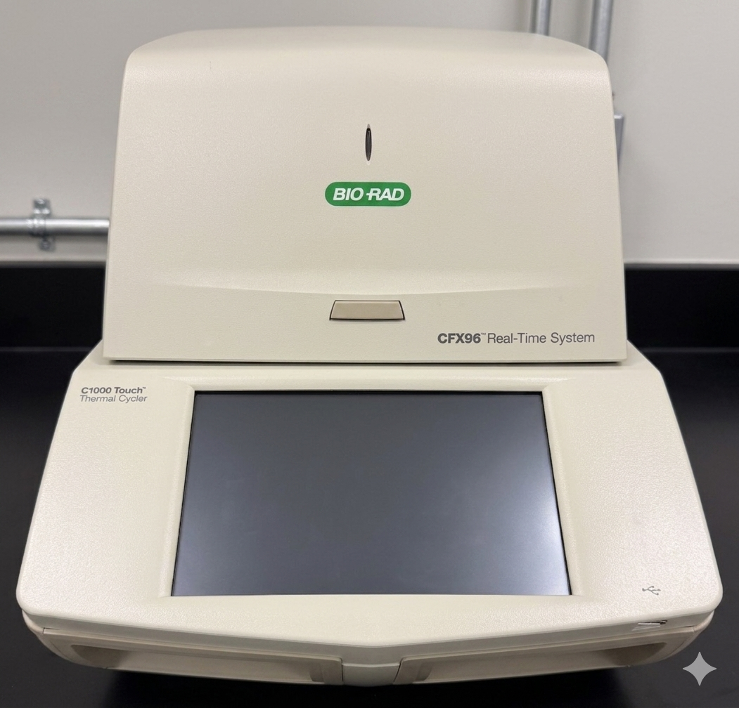 Real-time PCR
