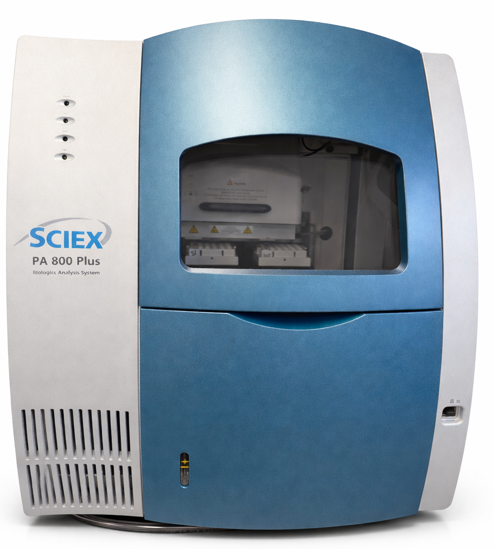 Capillary  Electrophoresis